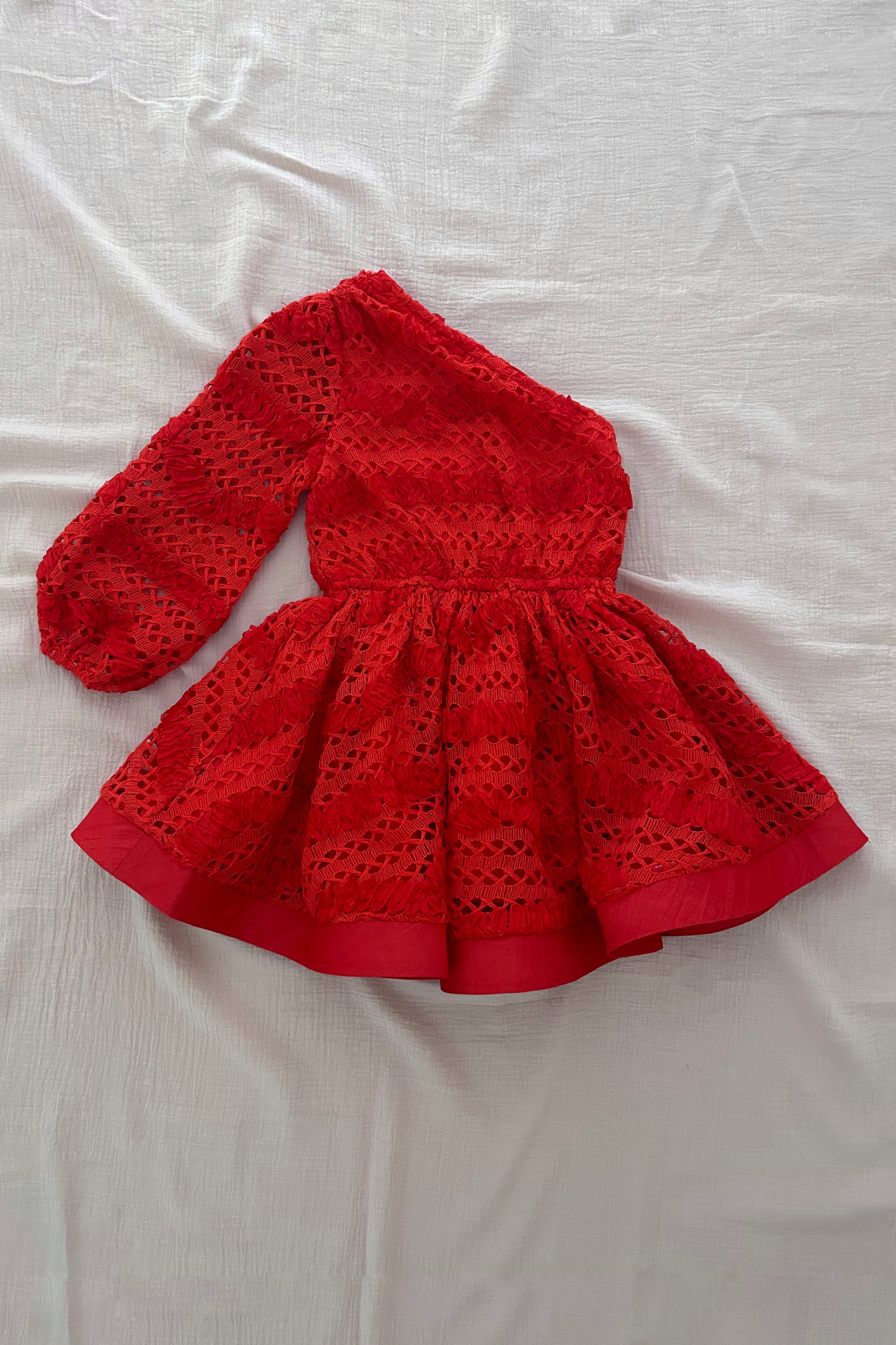 Meant for Me Dress - Scarlet Lattice Lace