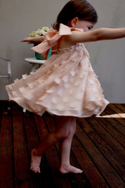 In The Meadows Dress - Rose Petal - Chloé and Amélie