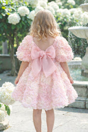 Among the Wildflowers Dress - Dolly Varden