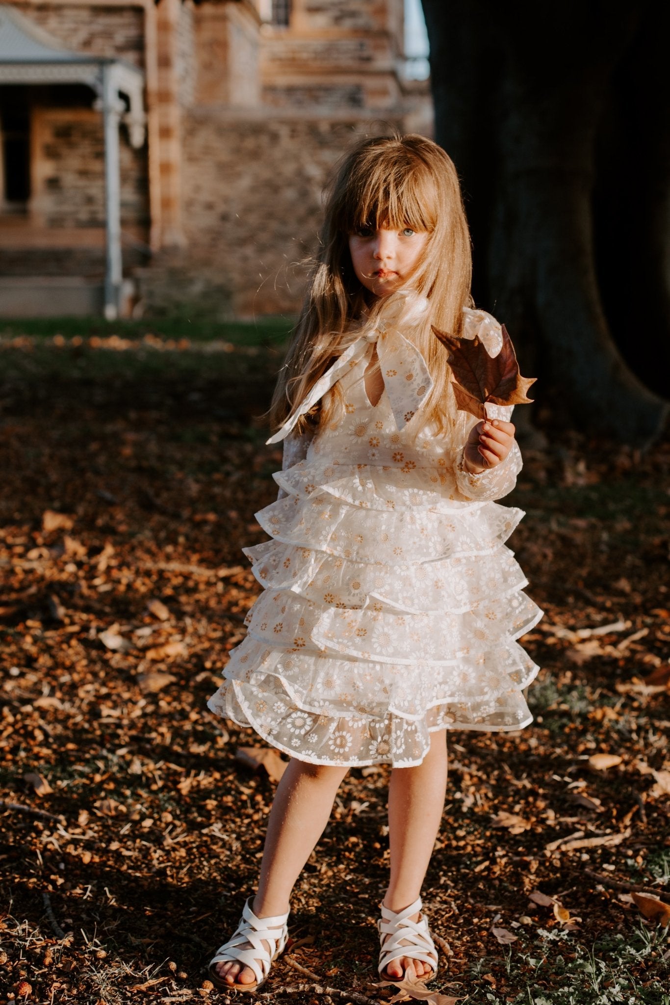 Daisy Fields Dress - Daisy Fields - Chloé and Amélie