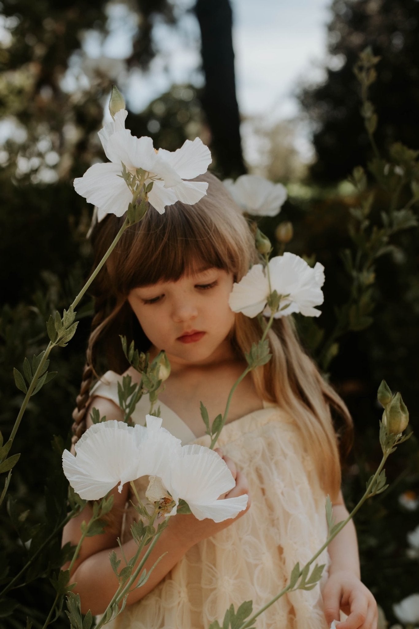 In The Meadows Dress - Ivory - Chloé and Amélie