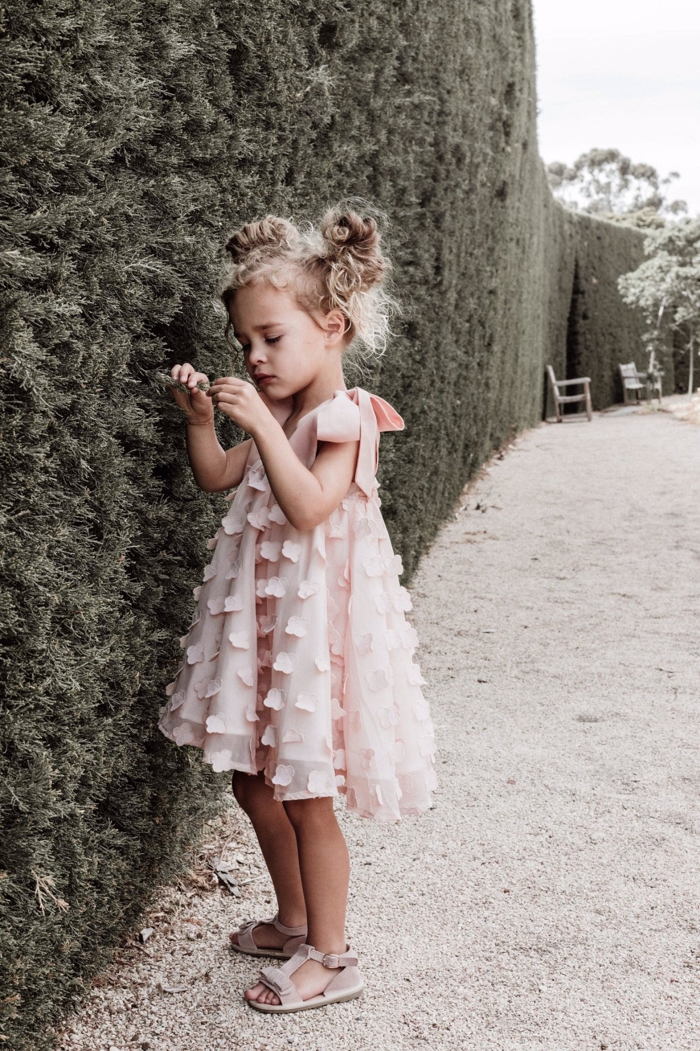 In The Meadows Dress - Rose Petal – Chloé and Amélie