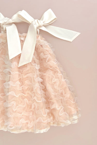 In The Meadows Dress - Rosewater Ribbon Tulle - Chloé and Amélie